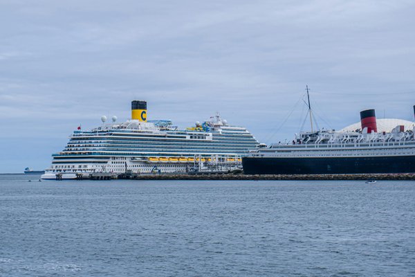 Quels sont les meilleurs spots pour faire de la plongée avec les requins-baleines aux Maldives : saisons et équipements ?