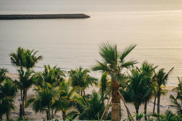 Réseau d'enseignes éligibles ancv : votre guide pratique